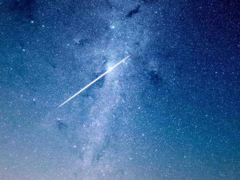 CarGini Mobile App: Book Faster, Travel Smarter